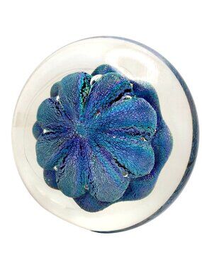 Robert Eickholt Blue Dichroic Art Glass Paperweight Sand Dollar Signed Vtg 90s